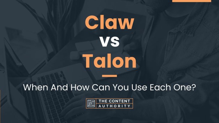 Claw vs Talon: When And How Can You Use Each One?