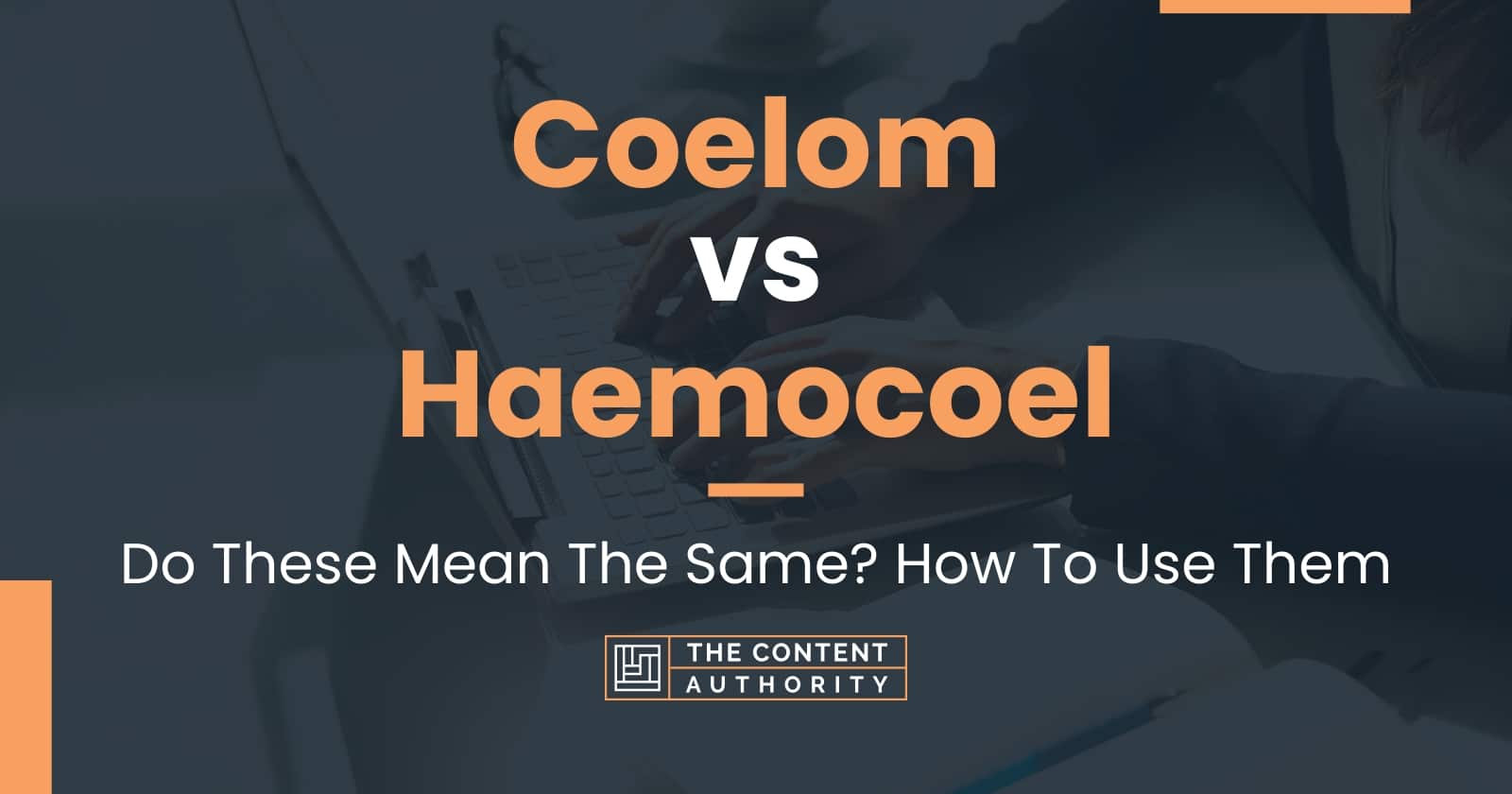 Coelom vs Haemocoel: Do These Mean The Same? How To Use Them