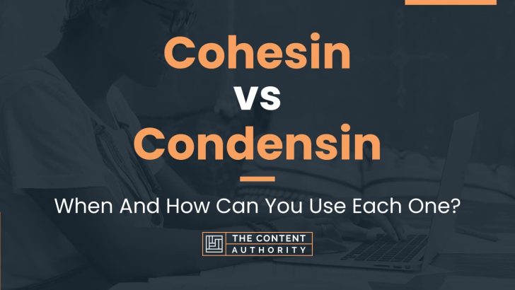 Cohesin vs Condensin: When And How Can You Use Each One? Biology Diagrams