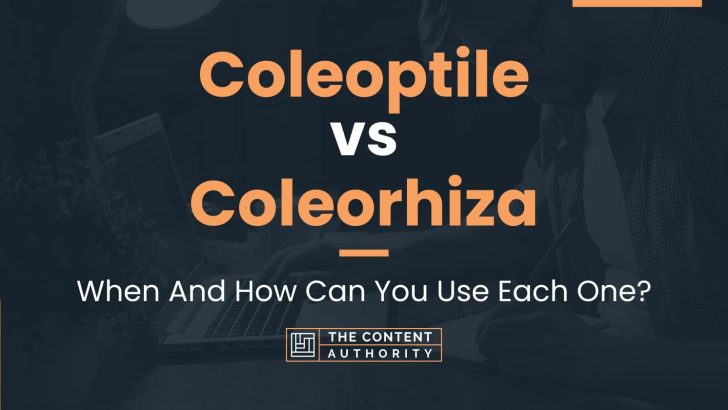 Coleoptile vs Coleorhiza: When And How Can You Use Each One?
