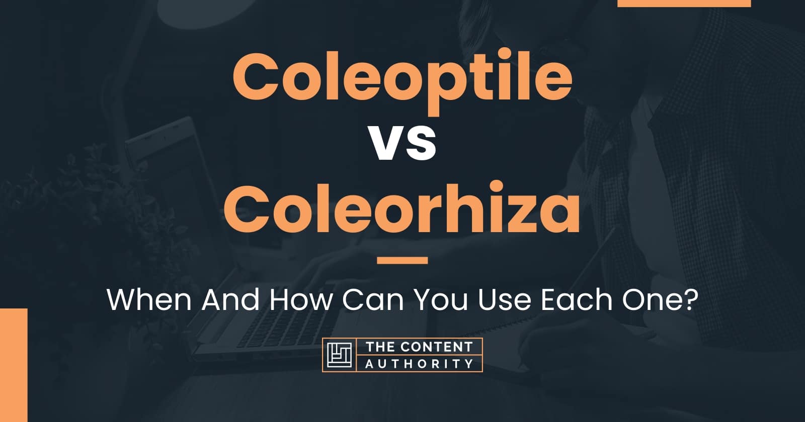 Coleoptile vs Coleorhiza: When And How Can You Use Each One?
