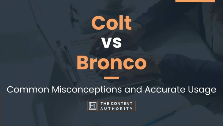 Colt vs Bronco: Common Misconceptions and Accurate Usage