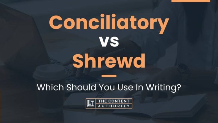Conciliatory vs Shrewd: Which Should You Use In Writing?