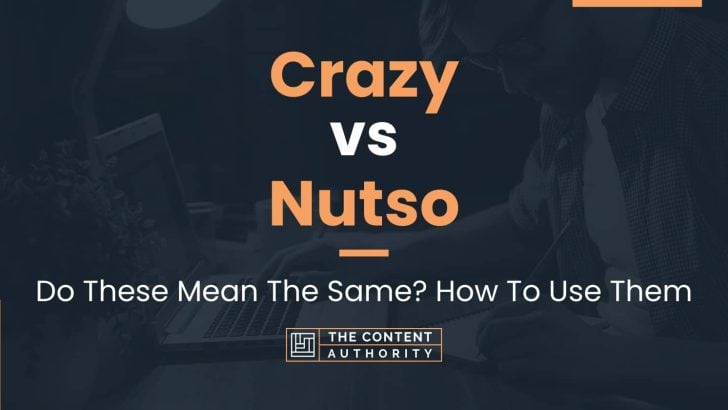 Crazy vs Nutso: Do These Mean The Same? How To Use Them