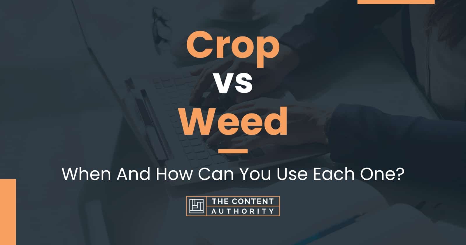 Crop vs Weed: When And How Can You Use Each One?