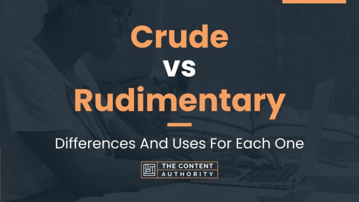 Crude vs Rudimentary: Fundamental Differences Of These Terms