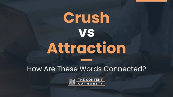 Crush Vs Attraction How Are These Words Connected