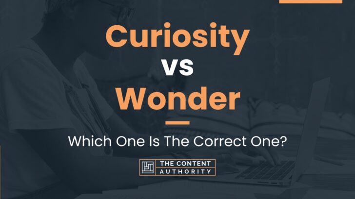 Curiosity vs Wonder: Which One Is The Correct One?