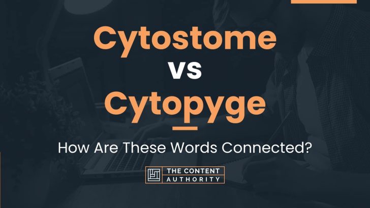 Cytostome vs Cytopyge: How Are These Words Connected?