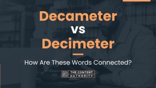 Decameter vs Decimeter: How Are These Words Connected?