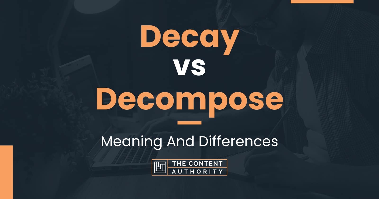 decay-vs-decompose-meaning-and-differences