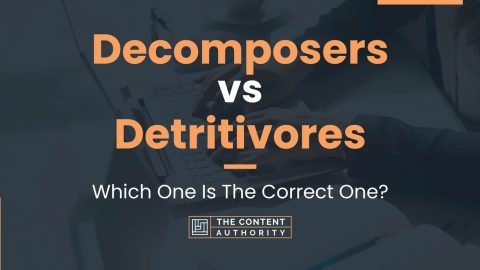 Decomposers vs Detritivores: Which One Is The Correct One?