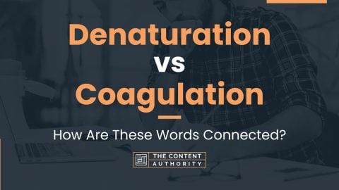 Denaturation vs Coagulation: How Are These Words Connected?