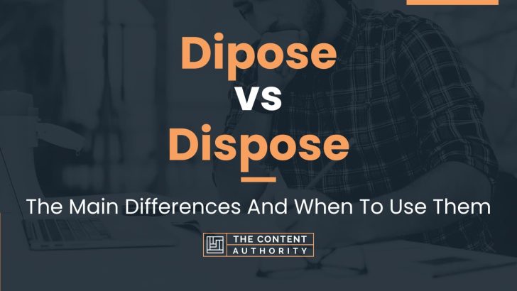 Dipose vs Dispose: The Main Differences And When To Use Them