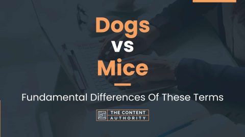 Dogs vs Mice: Fundamental Differences Of These Terms