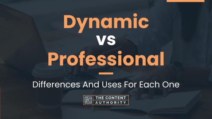 Dynamic vs Professional: Differences And Uses For Each One