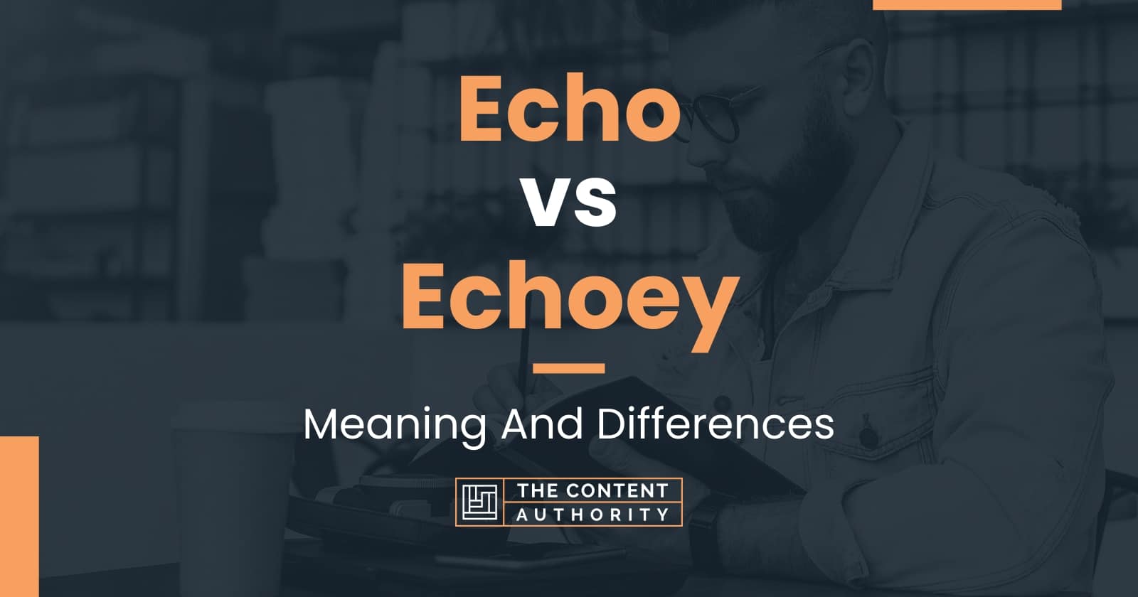 Echo vs Echoey Meaning And Differences