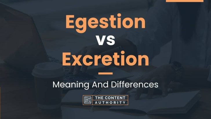 Egestion vs Excretion: Meaning And Differences