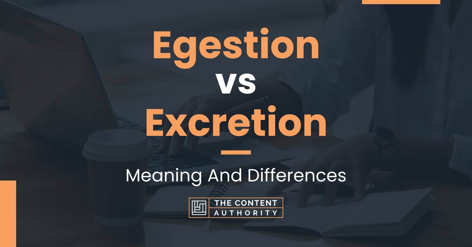 Excretion Meaning In Chinese