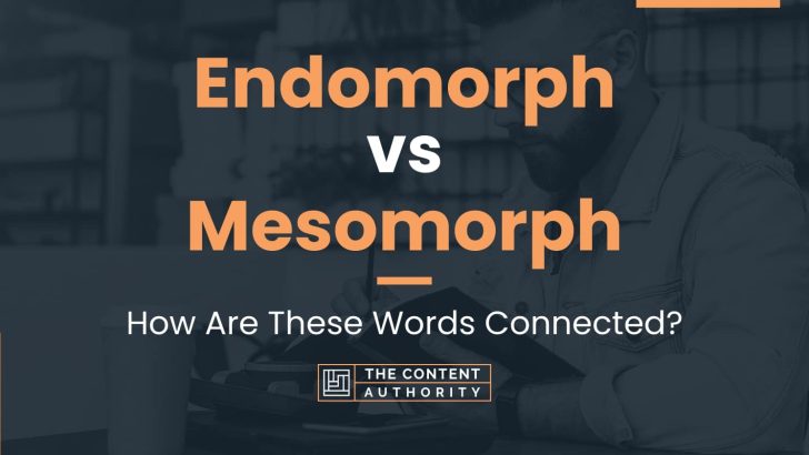 Endomorph vs Mesomorph: How Are These Words Connected?
