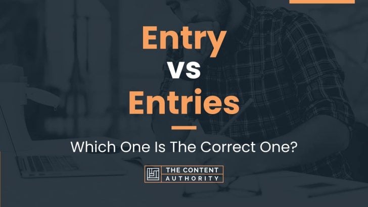 entry-vs-entries-which-one-is-the-correct-one