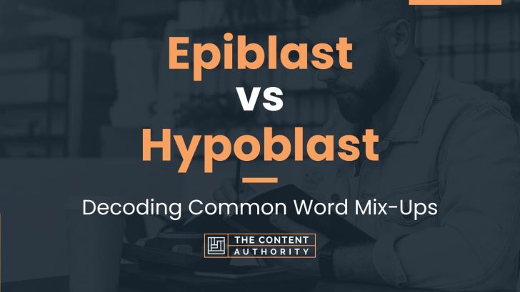 Epiblast vs Hypoblast: Decoding Common Word Mix-Ups