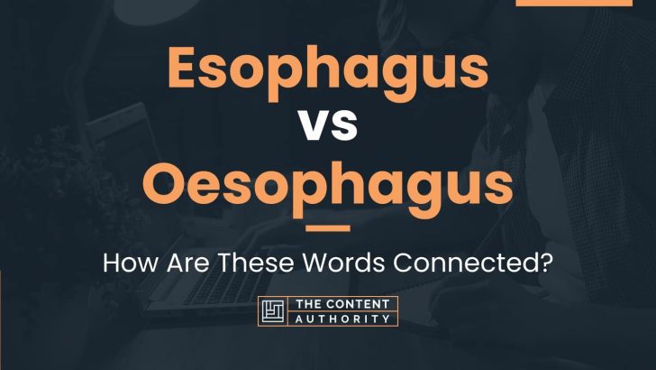 esophagus-vs-oesophagus-how-are-these-words-connected