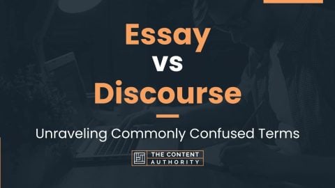 essay vs discussion