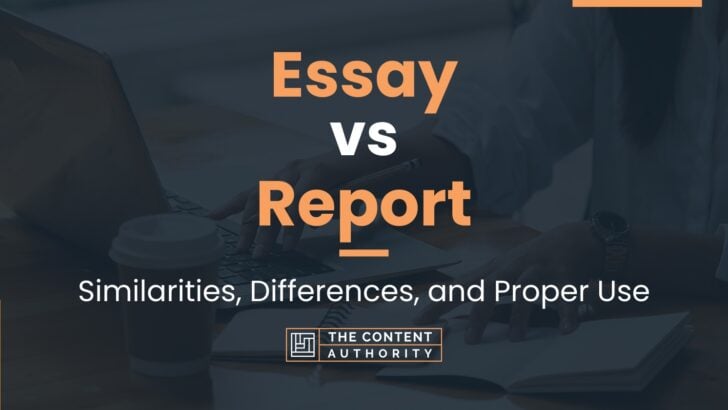 essay vs report