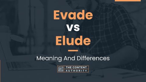 Evade vs Elude: Meaning And Differences