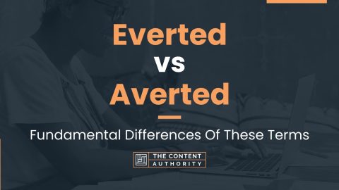 Everted vs Averted: Fundamental Differences Of These Terms