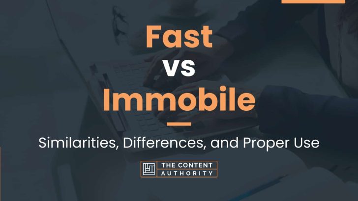 Fast vs Immobile: Similarities, Differences, and Proper Use
