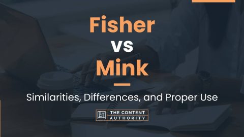 Fisher vs Mink: Similarities, Differences, and Proper Use