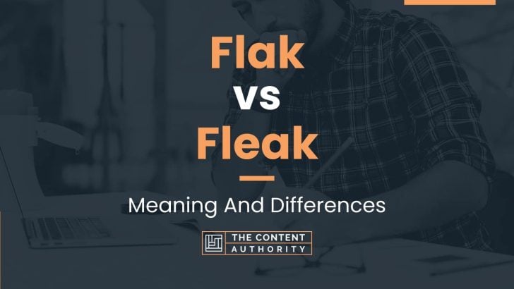 flak-vs-fleak-meaning-and-differences