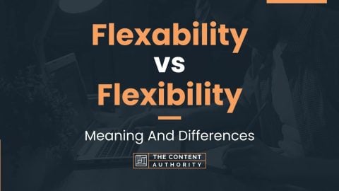 Flexability vs Flexibility: Meaning And Differences