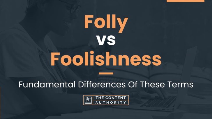 Folly vs Foolishness: Fundamental Differences Of These Terms