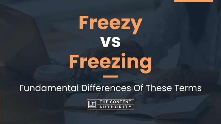Freezy vs Freezing: Fundamental Differences Of These Terms