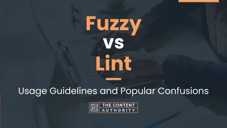 Fuzzy vs Lint: Usage Guidelines and Popular Confusions