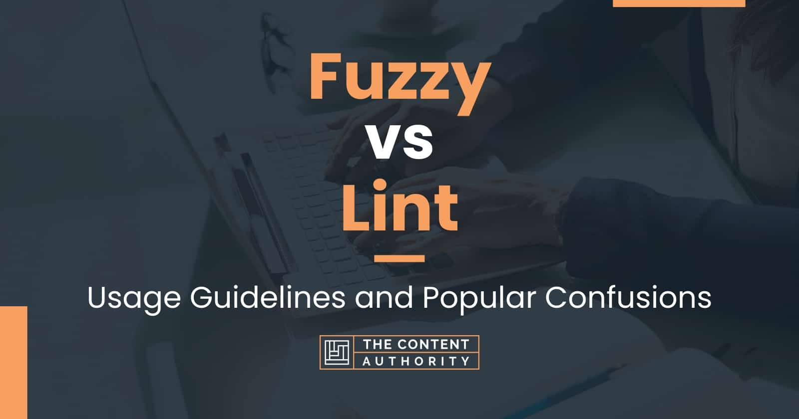 Fuzzy vs Lint: Usage Guidelines and Popular Confusions