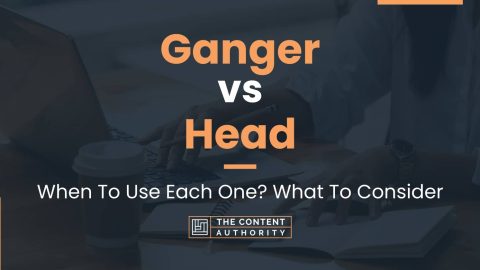 Ganger vs Head: When To Use Each One? What To Consider