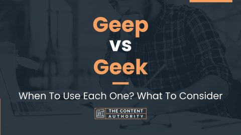 Geep vs Geek: When To Use Each One? What To Consider