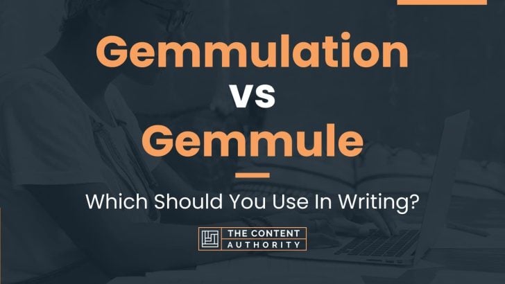 Gemmulation vs Gemmule: Which Should You Use In Writing?