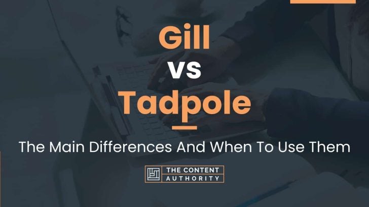 Gill vs Tadpole: The Main Differences And When To Use Them