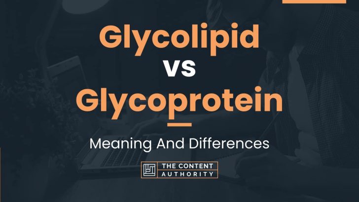 Glycolipid vs Glycoprotein: Meaning And Differences