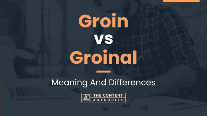 Groin vs Groinal: Meaning And Differences