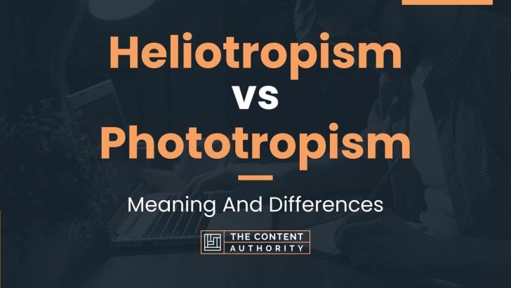 Heliotropism vs Phototropism: Meaning And Differences