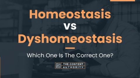 Homeostasis vs Dyshomeostasis: Which One Is The Correct One?