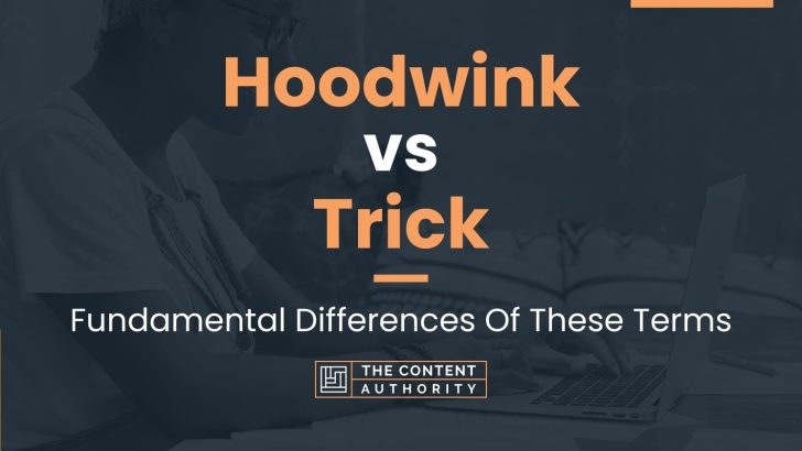 Hoodwink vs Trick: Fundamental Differences Of These Terms