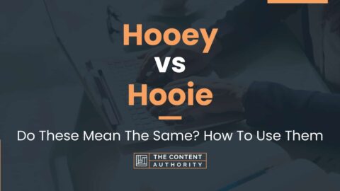 Hooey Vs Hooie: The Main Differences And When To Use Them