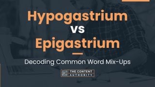 Hypogastrium vs Epigastrium: Decoding Common Word Mix-Ups